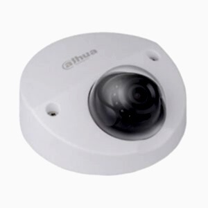 Dahua IPC-HDBW4421F-M-0280B 4 mp Dome Kamera